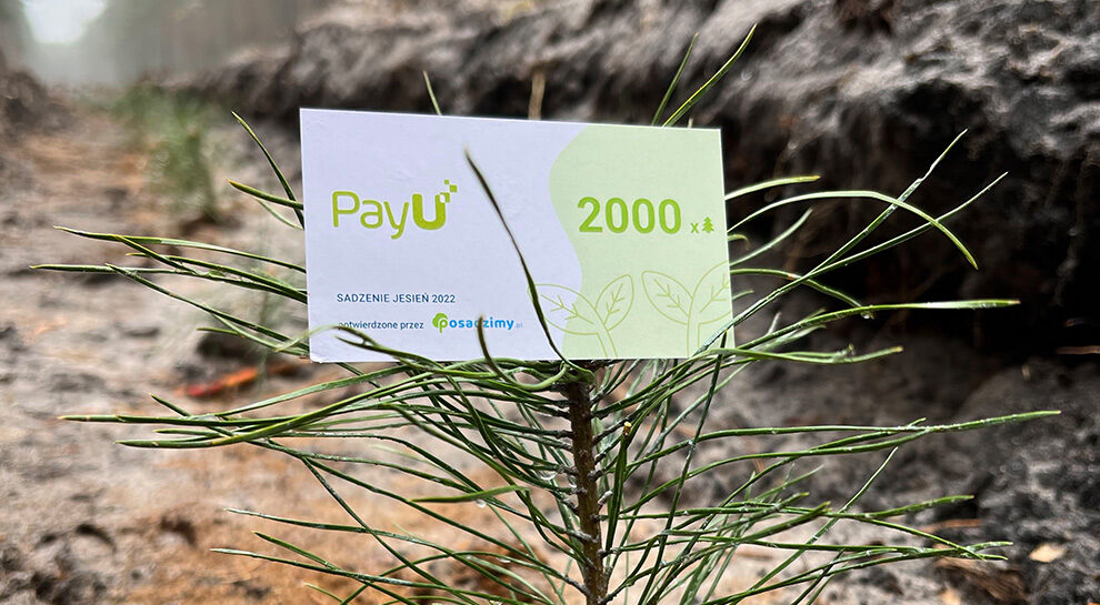 PayU ulotka sadzenie 2000 drzew