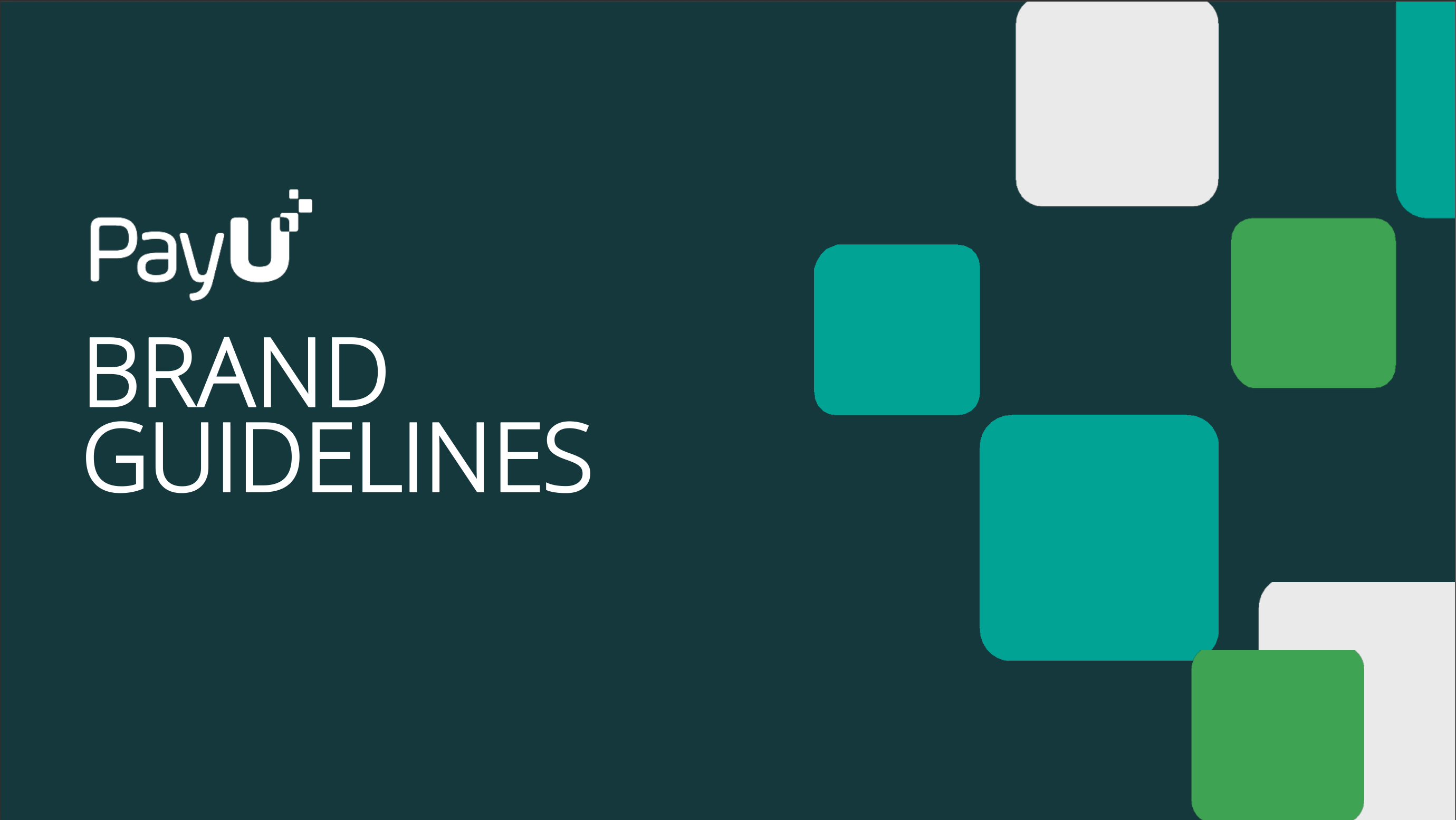 Branbook PayU 2026 cover